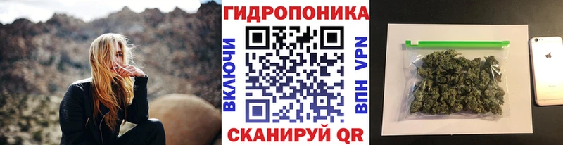 Канабис индика  купить закладку  Верхняя Пышма 